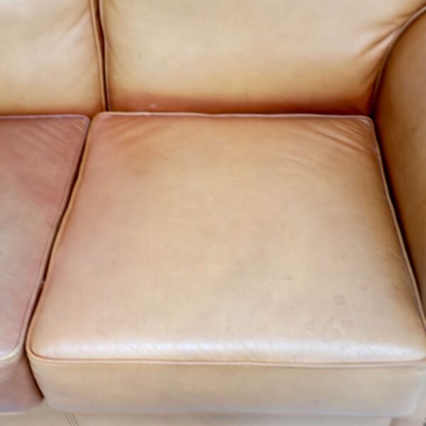 Genuine Leather Moran 2 Seater Sofa - Image 6