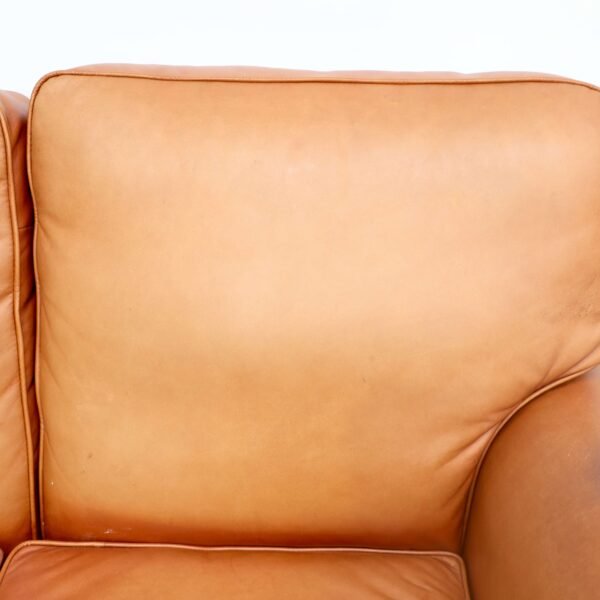 Genuine Leather Moran 2 Seater Sofa - Image 7