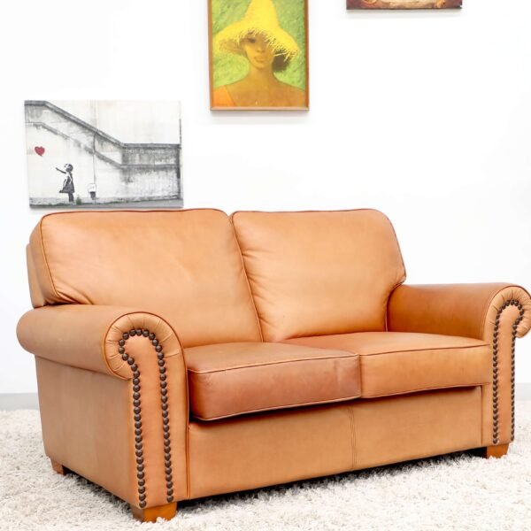 Genuine Leather Moran 2 Seater Sofa - Image 13