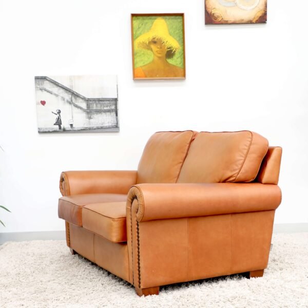 Genuine Leather Moran 2 Seater Sofa - Image 19